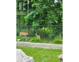 2426 RED THORNE AVENUE - 48