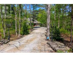 10441 PINETREE DRIVE - 9