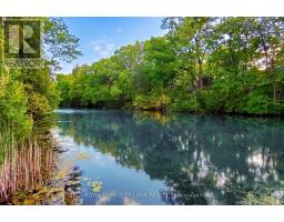 10234 JULIE AVENUE - 50