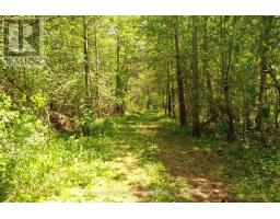 4099 MCINTOSH DRIVE - 23