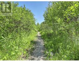 1544 PRIVET PLACE - 50