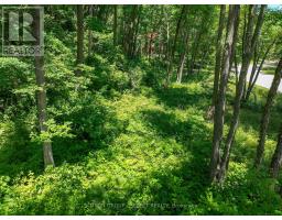 10096 PINERY BLUFFS RD, LOT 3 ROAD - 8