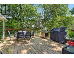 17 WOODWARD AVENUE - 41