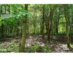255 RIDGEWOOD CRESCENT - 45
