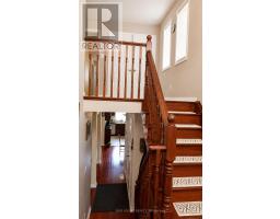 28 ELDERBERRY AVENUE - 12