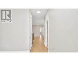 LOT 11 SHIRLEY STREET - 4
