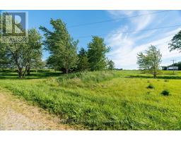 6079 LONGWOODS ROAD - 24