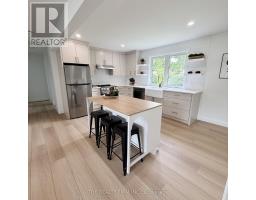 44 DAVID STREET - 15