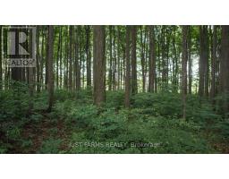 4881 BRUCE ROAD 4 ROAD - 11