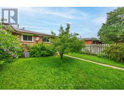 25 NOEL AVENUE - 43