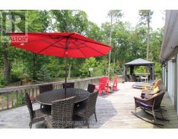 10441 PINETREE DRIVE - 40