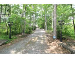 10441 PINETREE DRIVE - 47