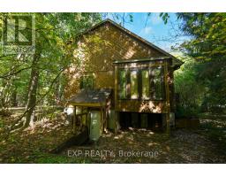 10207 PINETREE DRIVE - 4