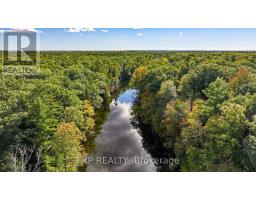 10207 PINETREE DRIVE - 43