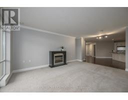 707 - 250 PALL MALL STREET - 14