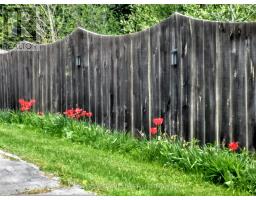 15083 MEDWAY ROAD - 3