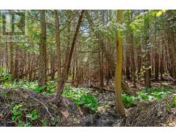 15083 MEDWAY ROAD - 37