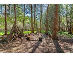 15083 MEDWAY ROAD - 41