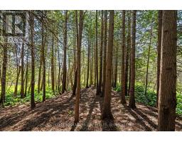 15083 MEDWAY ROAD - 45