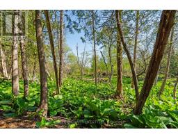 15083 MEDWAY ROAD - 46