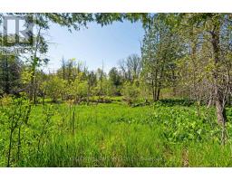 15083 MEDWAY ROAD - 47