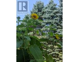 6 - 301 CARLOW ROAD - 29