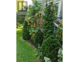 6 - 301 CARLOW ROAD - 30