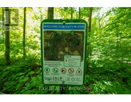 32207 SYLVAN ROAD - 32