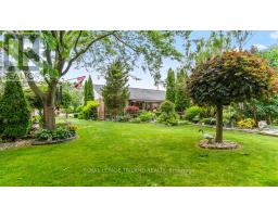 16 COSTELLO COURT - 36