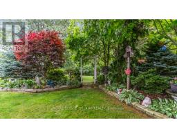 16 COSTELLO COURT - 38