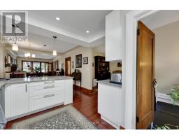 244 CATHCART STREET - 18