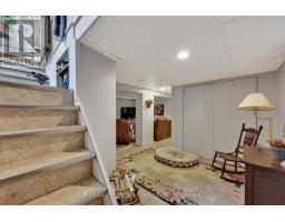 244 CATHCART STREET - 32