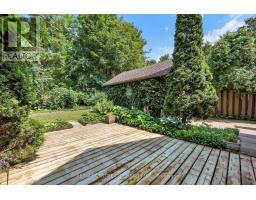 244 CATHCART STREET - 39