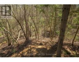 13 WARBLER HEIGHTS - 6