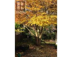 35 LOGAN AVENUE - 25