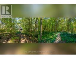 10239 PINETREE DRIVE - 44