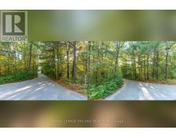 10239 PINETREE DRIVE - 46