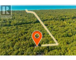 10239 PINETREE DRIVE - 6