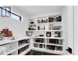 1866 FOUNTAIN GRASS DRIVE - 19
