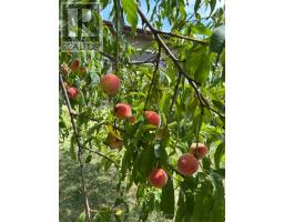 58 VILLENEUVE CRESCENT - 29