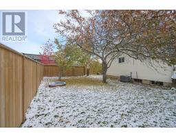 222 ELLEN STREET - 35