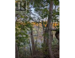 62 - 1385 COMMISSIONERS ROAD W - 36