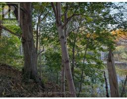 62 - 1385 COMMISSIONERS ROAD W - 37