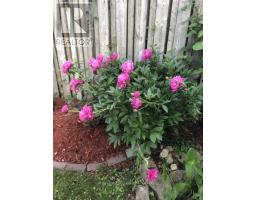 408 BROOKHAVEN PLACE - 40