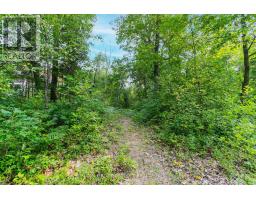 10142 PINERY BLUFFS ROAD - 21
