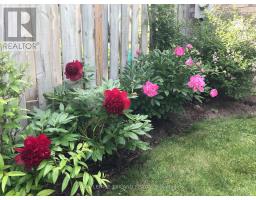 79 - 1241 BEAVERBROOK AVENUE - 47