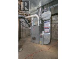 222 ELLEN STREET - 27