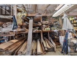 38236 FINGAL LINE - 36