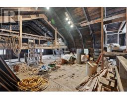 38236 FINGAL LINE - 37