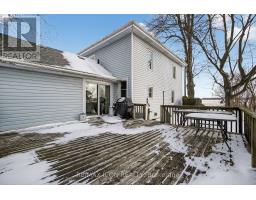 38236 FINGAL LINE - 41